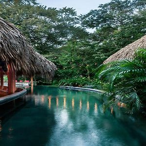 The Space Jungle Oasis